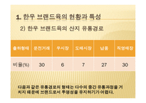 [마케팅] 한우브랜드육의 마케팅전략-12