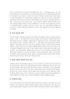 [언론][선거보도][선거방송]언론의 선거보도 특성, 언론의 선거보도 공정성, 언론의 선거보도 현황, 언론의 선거보도 문제점, 향후 언론의 선거보도 새로운 방향, 언론의 선거보도 목표(언론 선거보도 사례 중심)-8