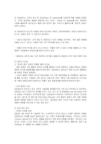 [경영전략] 모토로라의 전략 및 혁신과 국내시장 실패에 대한 방안-12