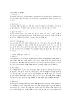[경영전략] 저가항공사 한성항공의 전략분석과 개선방안-6
