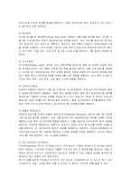 [경영전략] 저가항공사 한성항공의 전략분석과 개선방안-7