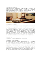 [경영전략] 싱가폴항공사(SIA)의 서비스전략과 성공요인분석-5