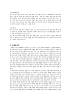 [마케팅] 오리온 초코파이의 중국진출 마케팅전략 분석-10
