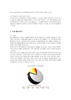 [마케팅] 애플(APPLE) 아이팟의 마케팅전략과 성공요인분석-10