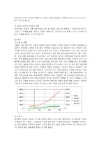 [마케팅] 레인콤 아이리버의 미국진출 마케팅과 새로운 전략-3