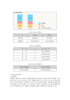 [마케팅] 레인콤 아이리버의 미국진출 마케팅과 새로운 전략-4