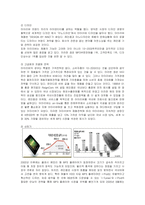 [마케팅] 레인콤 아이리버의 미국진출 마케팅과 새로운 전략-5