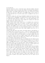 [마케팅] 레인콤 아이리버의 미국진출 마케팅과 새로운 전략-9