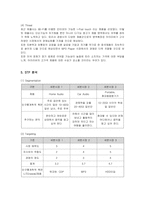 [마케팅] 레인콤 아이리버의 미국진출 마케팅과 새로운 전략-13