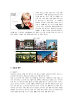 [마케팅] 레인콤 아이리버의 미국진출 마케팅과 새로운 전략-18