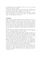 [마케팅] 레인콤 아이리버의 미국진출 마케팅과 새로운 전략-20