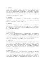 [마케팅] 아이팟의 한국시장진출 마케팅전략과 방안-5