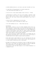 [마케팅] 아이팟의 한국시장진출 마케팅전략과 방안-11