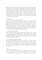 [마케팅] 아이팟의 한국시장진출 마케팅전략과 방안-16