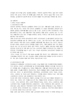 [마케팅] 아이팟의 한국시장진출 마케팅전략과 방안-17
