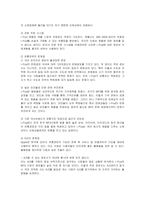 [마케팅] 아이팟의 한국시장진출 마케팅전략과 방안-18