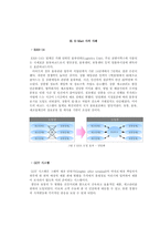 공급망관리(SCM, Supply Chain Management)-6
