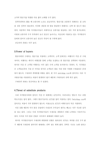 [전략경영론] 금호 아시아나 저가 항공시장 진출 전략-5