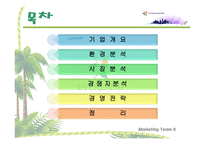 에버랜드 경영전략-2