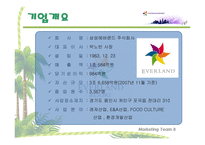 에버랜드 경영전략-3