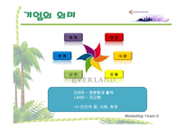 에버랜드 경영전략-4