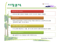 에버랜드 경영전략-8