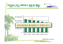 에버랜드 경영전략-10