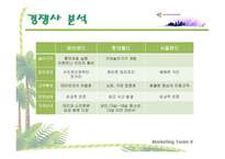 에버랜드 경영전략-14