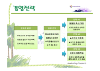 에버랜드 경영전략-17