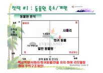 에버랜드 경영전략-18