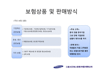 [국제경영] 삼성화재 중국진출 전략-10