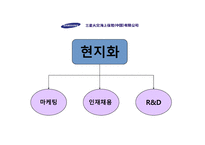 [국제경영] 삼성화재 중국진출 전략-12