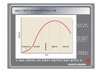 [경영전략] 금호아시아나 경영전략 및 사례 연구-8