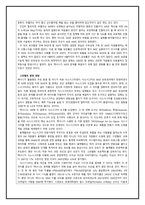 [경영전략] 3M 경영전략 및 사례 연구-13