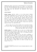 [경영전략] 금호아시아나 경영전략 및 사례 연구-19