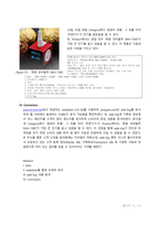 인터넷 마케팅을 위한 Yongsan.com Web-log 분석-13