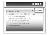 [광고매체론] 현대자동차 투싼 매체전략-16