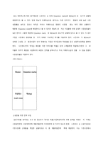 [마케팅] 스킨푸드 마케팅조사-10