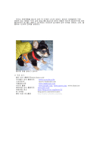 [광고기획서] 환타 광고기획서-7