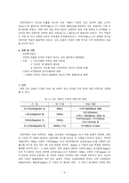 현대자동차 해외진출(인도편)-6