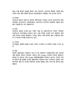 브라질 경제분석-11