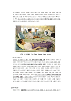 [국제관광 항공산업] 유명 항공사(싱가폴 항공, 대한항공)와 저가항공사(SouthWest Airline, 한성항공) 차별화 전략-11