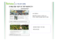 [사업계획서, 전자상거래] 여행객에게 대학생 가이드의 UCC를 통한 가이드-10