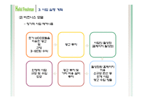 [사업계획서, 전자상거래] 여행객에게 대학생 가이드의 UCC를 통한 가이드-20