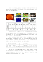 [식량자원위기] 식량 자원의 위기에 대응하는 생활 실천 대안으로 식단의 변화의 제안-7