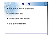 [사이버문화] 사이버공간의 일탈사례-2