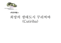 [환경정책론] 생태도시의 비교를 통한 정책 및 시사점-10