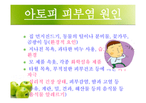 [화학] 아토피 피부염-10