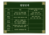 [정신분석이론] 프로이드(Freud)-17