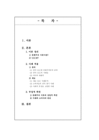 [문화커뮤니케이션] UCC를 통해 알아보는 문화주의 이론-2